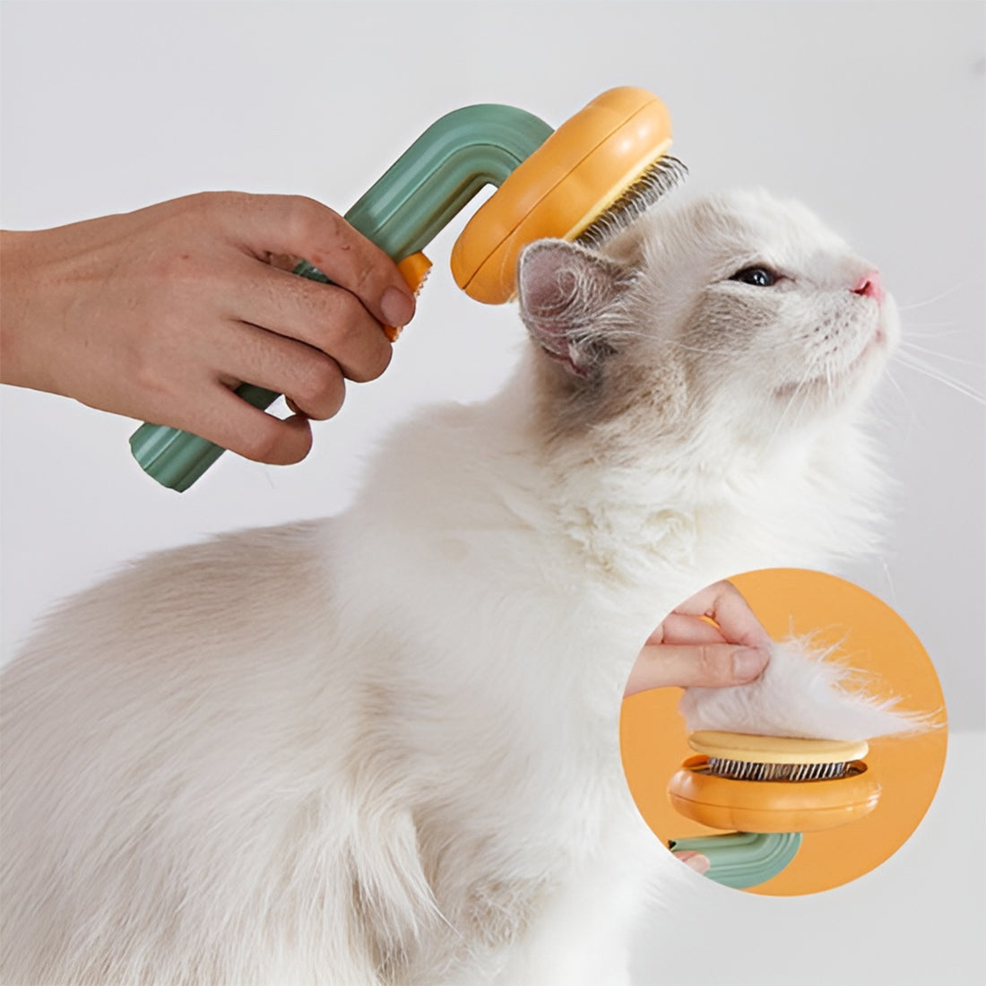 spazzola per gatti