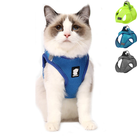Cat Harness with Hook and Loop Closure and Buckle