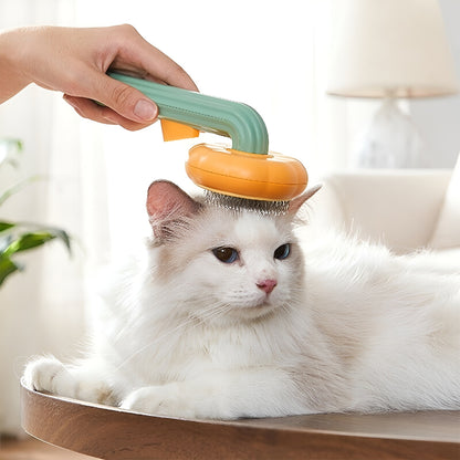 spazzola per gattini