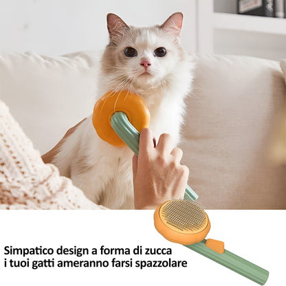 spazzole per gatti