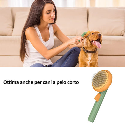 spazzola per cani
